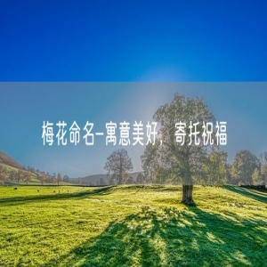 梅花命名-寓意美好，寄托祝福