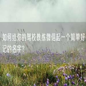 如何给你的驾校教练微信起一个简单好记的名字？