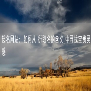 起名网站：如何从 衍取名的含义 中寻找宝贵灵感