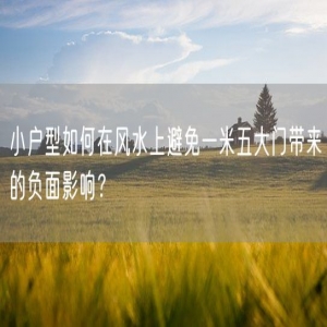 小户型如何在风水上避免一米五大门带来的负面影响？