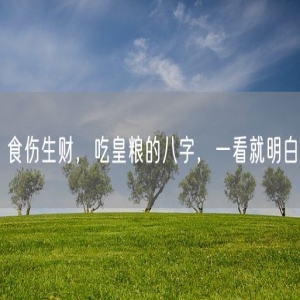 食伤生财，吃皇粮的八字，一看就明白