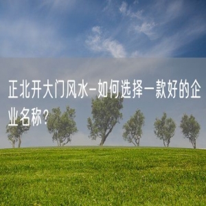 正北开大门风水-如何选择一款好的企业名称？