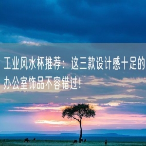 工业风水杯推荐：这三款设计感十足的办公室饰品不容错过！