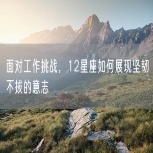 面对工作挑战，12星座如何展现坚韧不拔的意志
