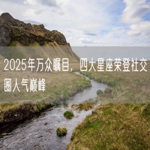2025年万众瞩目，四大星座荣登社交圈人气巅峰