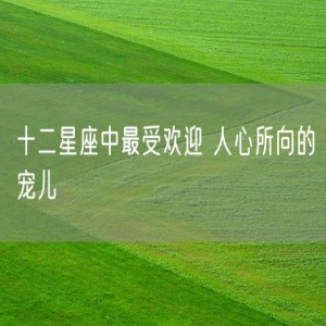 十二星座中最受欢迎 人心所向的宠儿