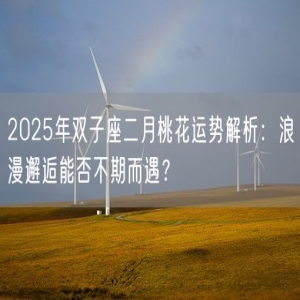 2025年双子座二月桃花运势解析：浪漫邂逅能否不期而遇？
