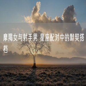 摩羯女与射手男 星座配对中的默契搭档