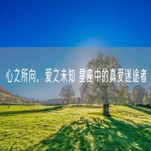 心之所向，爱之未知 星座中的真爱迷途者