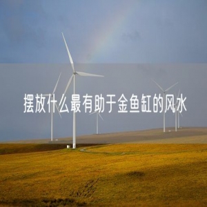 摆放什么最有助于金鱼缸的风水