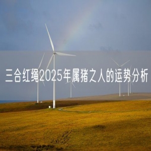 三合红绳2025年属猪之人的运势分析