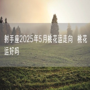 射手座2025年5月桃花运走向  桃花运好吗