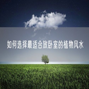 如何选择最适合放卧室的植物风水