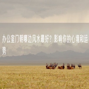 办公室门朝哪边风水最好？影响你的心境和运势