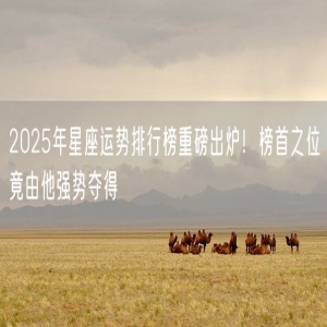 2025年星座运势排行榜重磅出炉！榜首之位竟由他强势夺得