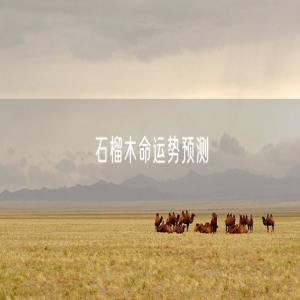 石榴木命运势预测