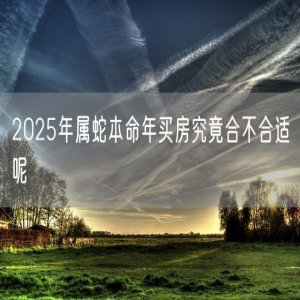 2025年属蛇本命年买房究竟合不合适呢