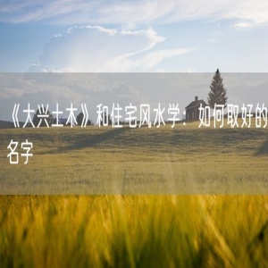 《大兴土木》和住宅风水学：如何取好的名字