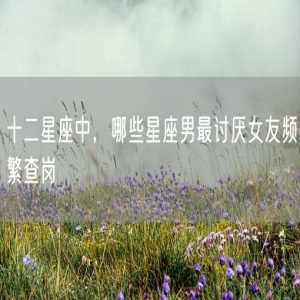 十二星座中，哪些星座男最讨厌女友频繁查岗