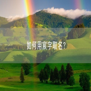 如何用宸字取名？
