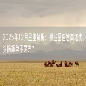 2025年12月星座解析：哪些星座智商堪忧，头脑简单不灵光？