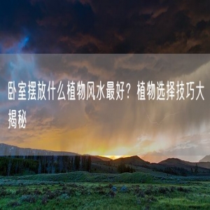卧室摆放什么植物风水最好？植物选择技巧大揭秘