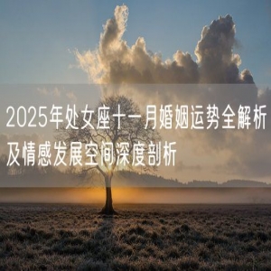 2025年处女座十一月婚姻运势全解析及情感发展空间深度剖析