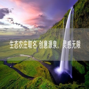 生态农庄取名 创意源泉，灵感无限