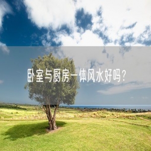 卧室与厨房一体风水好吗？