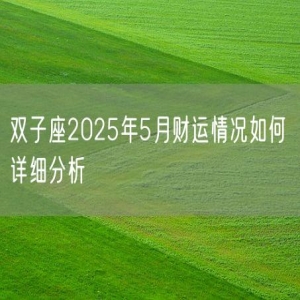 双子座2025年5月财运情况如何 详细分析