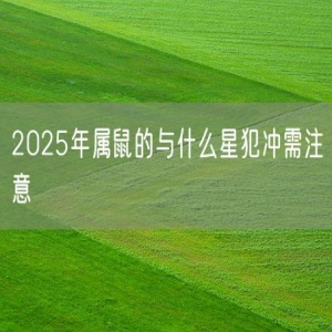 2025年属鼠的与什么星犯冲需注意