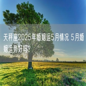 天秤座2025年婚姻运5月情况 5月婚姻运势好吗？