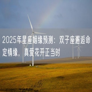 2025年星座姻缘预测：双子座邂逅命定情缘，真爱花开正当时