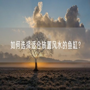 如何选择适合放置风水的鱼缸？