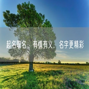起名取名   有情有义，名字更精彩