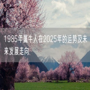 1985年属牛人在2025年的运势及未来发展走向