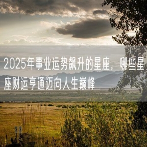 2025年事业运势飙升的星座，哪些星座财运亨通迈向人生巅峰