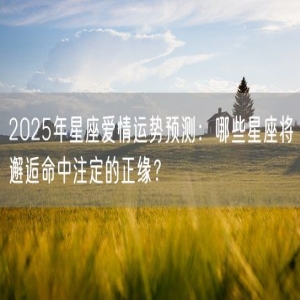 2025年星座爱情运势预测：哪些星座将邂逅命中注定的正缘？