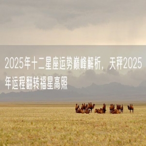 2025年十二星座运势巅峰解析，天秤2025年运程翻转福星高照