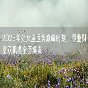 2025年处女座运势巅峰时刻，事业财富双机遇全面爆发
