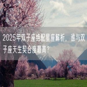 2025年双子座绝配星座解析，谁与双子座天生契合度最高？