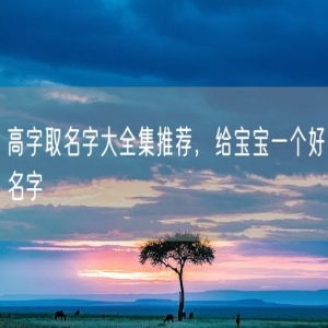 高字取名字大全集推荐，给宝宝一个好名字