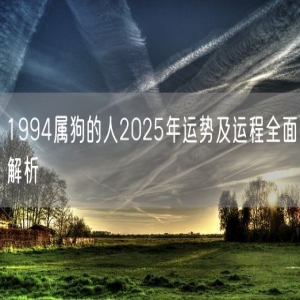 1994属狗的人2025年运势及运程全面解析