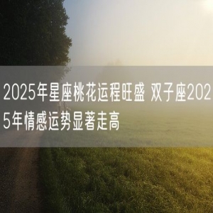 2025年星座桃花运程旺盛 双子座2025年情感运势显著走高
