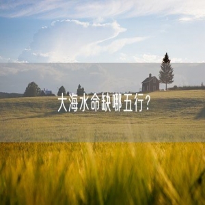大海水命缺哪五行？