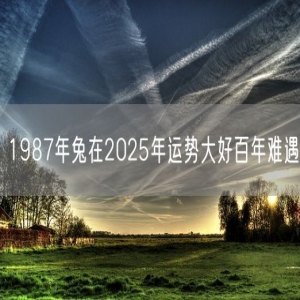 1987年兔在2025年运势大好百年难遇