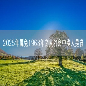 2025年属兔1963年之人的命中贵人是谁
