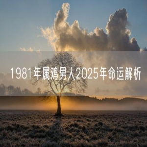 1981年属鸡男人2025年命运解析