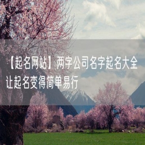 【起名网站】两字公司名字起名大全 让起名变得简单易行