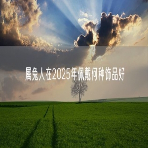 属兔人在2025年佩戴何种饰品好